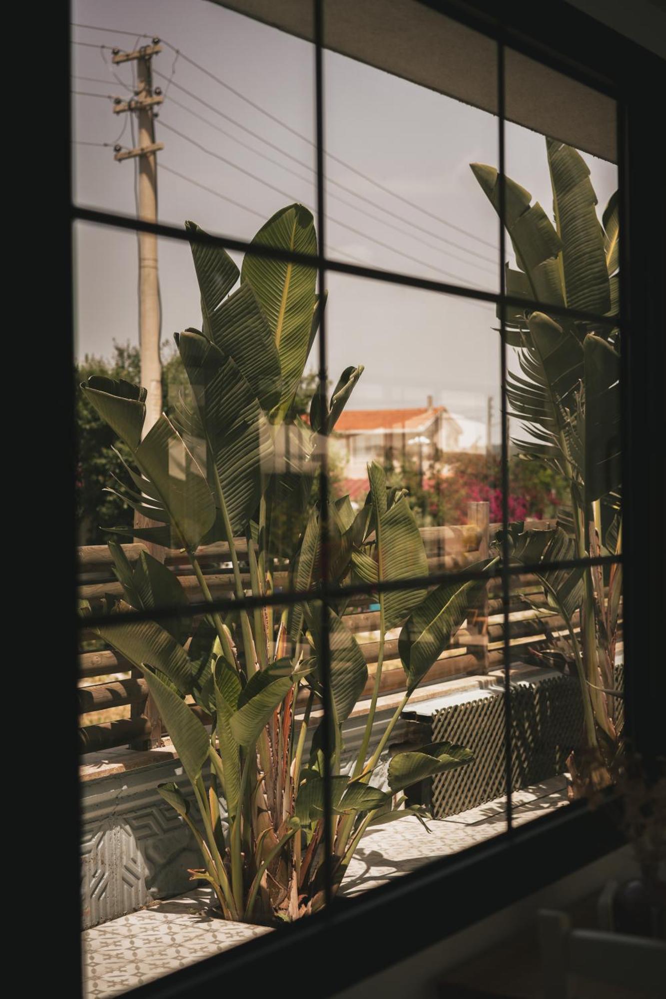 La Vida Otel Urla Zewnętrze zdjęcie